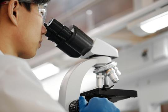 Scientists Crack How the Immune System Aims Its DNA Mutator