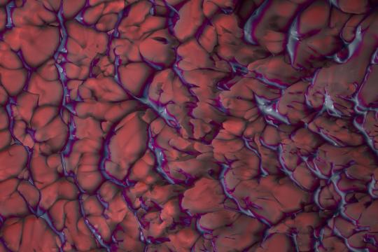 Brain Organoids in Space Could Shield Astronauts' Health