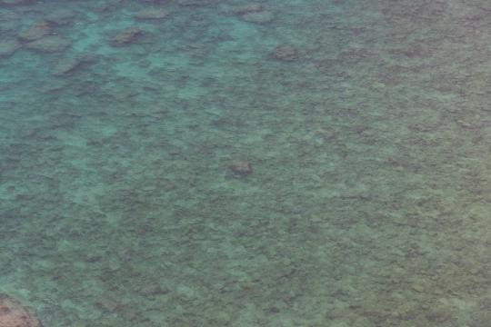 Atoll Restoration Could Outrun Rising Seas, Study Shows