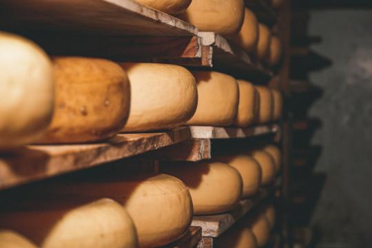 The Raw Milk Cheese Recall Every Fridge Should Pass