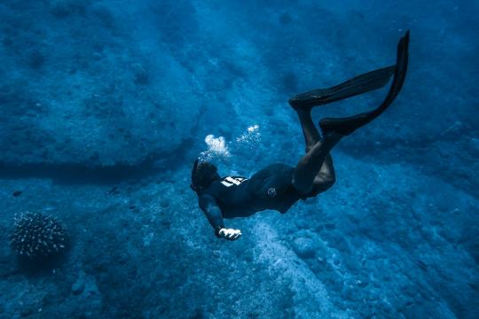 Deep Ocean Exploration Reveals Hidden Ecosystems