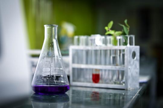 Plant Enzymes Learned to Tell Mirror-Image Molecules Apart