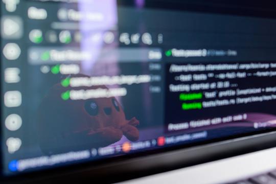 ShinyHunters Arrest: FBI Detains Canadian Ransomware Negotiator