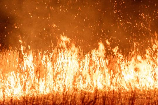 Wainwright base explosion kills at least 7, dozens hurt