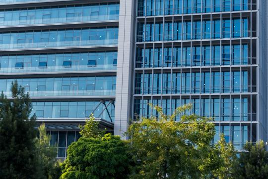 AI Slowdown Lawsuit: Did the Biggest AI Labs Collude?