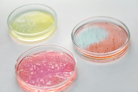 Exposome Health Atlas: Scientists Map How Environment Shapes Disease