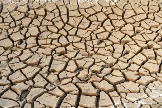 The El Niño Sugar Shortage Is Coming for Your Wallet
