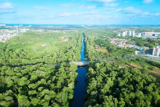 Amazon Deforestation Hits Lowest Level on Record