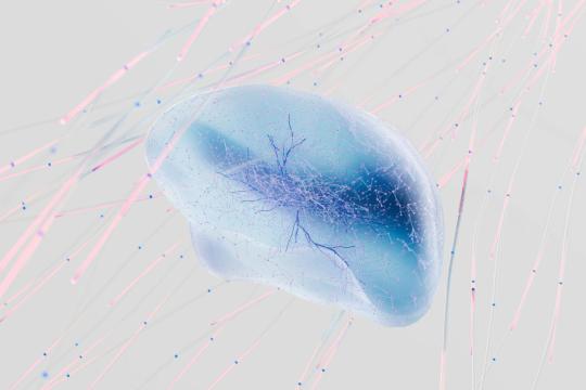 Meta Avocado AI Model Delayed After Internal Tests Fall Short