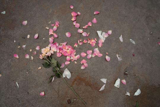 New Rose Trailer Proves Sandra Huller Is Coming for the Oscar