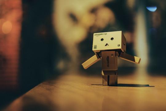 A Humanoid Robot Built for Classrooms and Developers