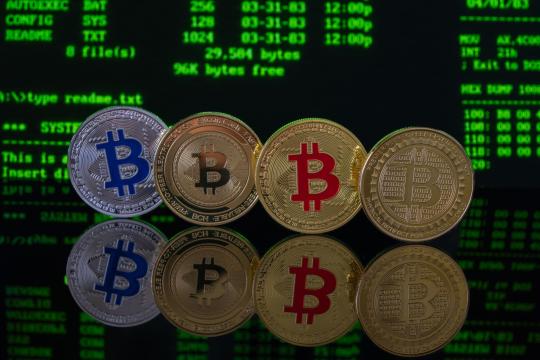 White House Crypto Adviser Quits, and No One Replaces Him