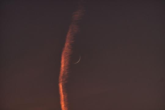 SpaceX Dragon Cargo Launch Sends Mini Hearts to Orbit