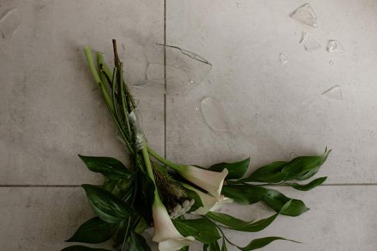 Banco Master Scandal Rocks Brazil as STF Justice Faces Investigation