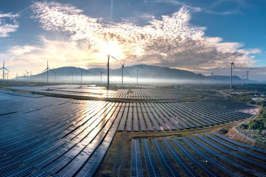 South Island Solar Farm Opens as New Zealand's Clean Push Grows