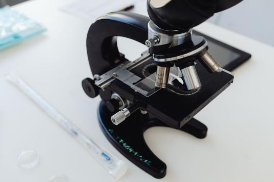 Random Mutations Turn RNA Droplets Into Moving Protocells