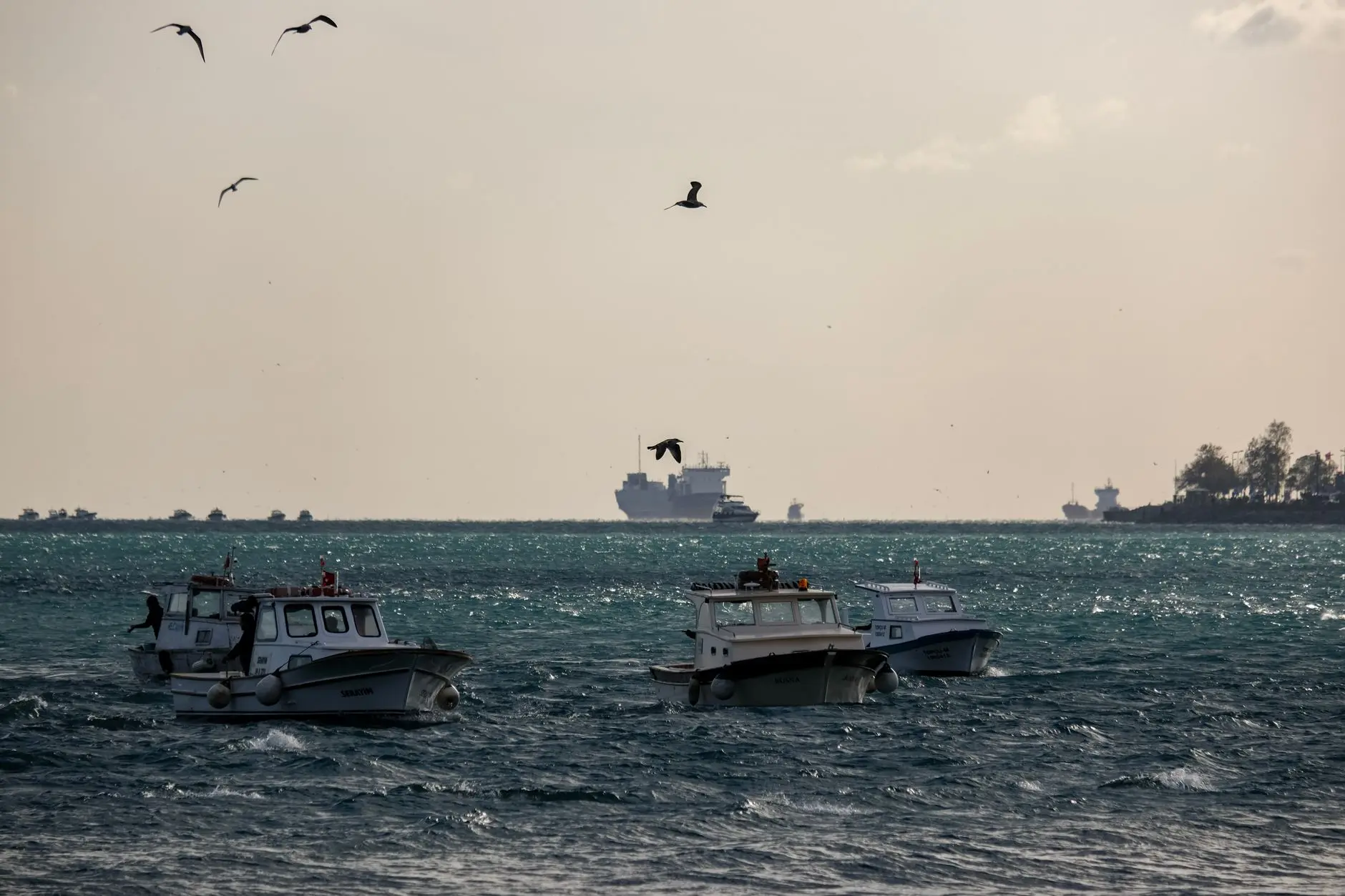 Iran Crisis July 2026: Strait of Hormuz, Oil Spike, Caspian Strike