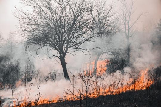 European Wildfires Are the New Normal for Gen Z Summers