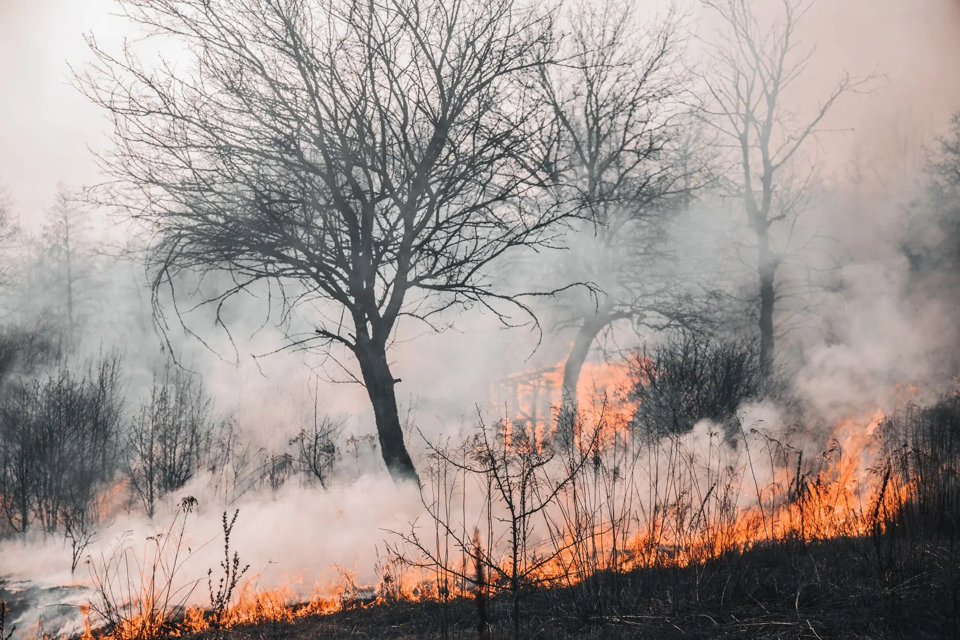 European Wildfires Are the New Normal for Gen Z Summers