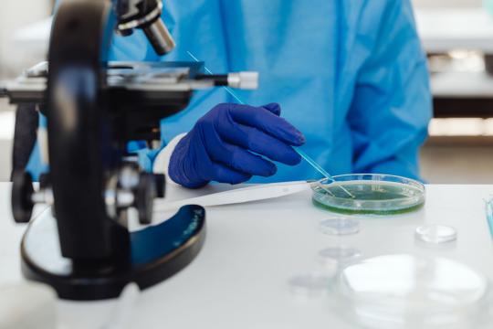 1 in 8 Cancers Are Infection-Linked Cancers, WHO Study Finds