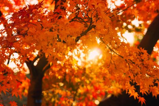 The Fallcation Boom: Why September Is the New August
