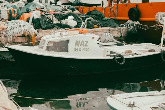 Below Netflix Record: Newfoundland Thriller Smashes Canadian Debut