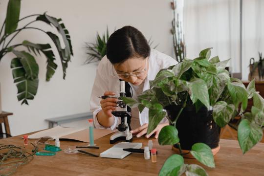How Scientists Supercharged the Plant Immune System