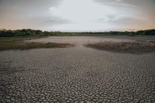 August Ties July 2023 as World's Hottest Month on Record