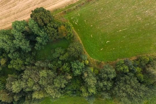 Aventicum: Drought Reveals Hidden Roman Baths in Switzerland