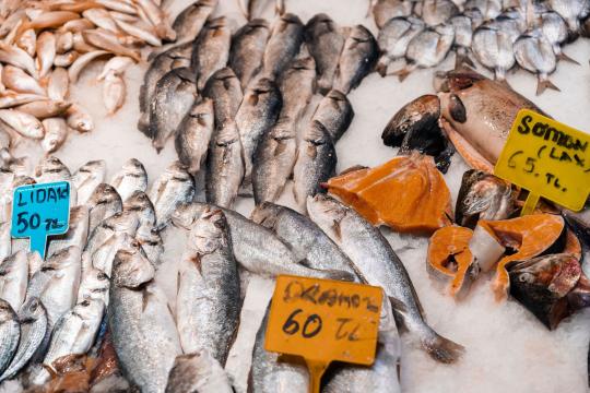 Your Seafood Menu Is Shrinking, and a Century of Recipes Proves It