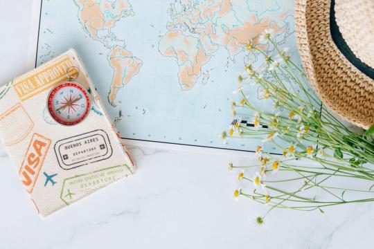 Europe Killed the Passport Stamp: Biometrics Rule Travel Now