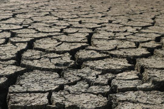 Climate Emergency Intensifies as Planet Crosses Critical Thresholds