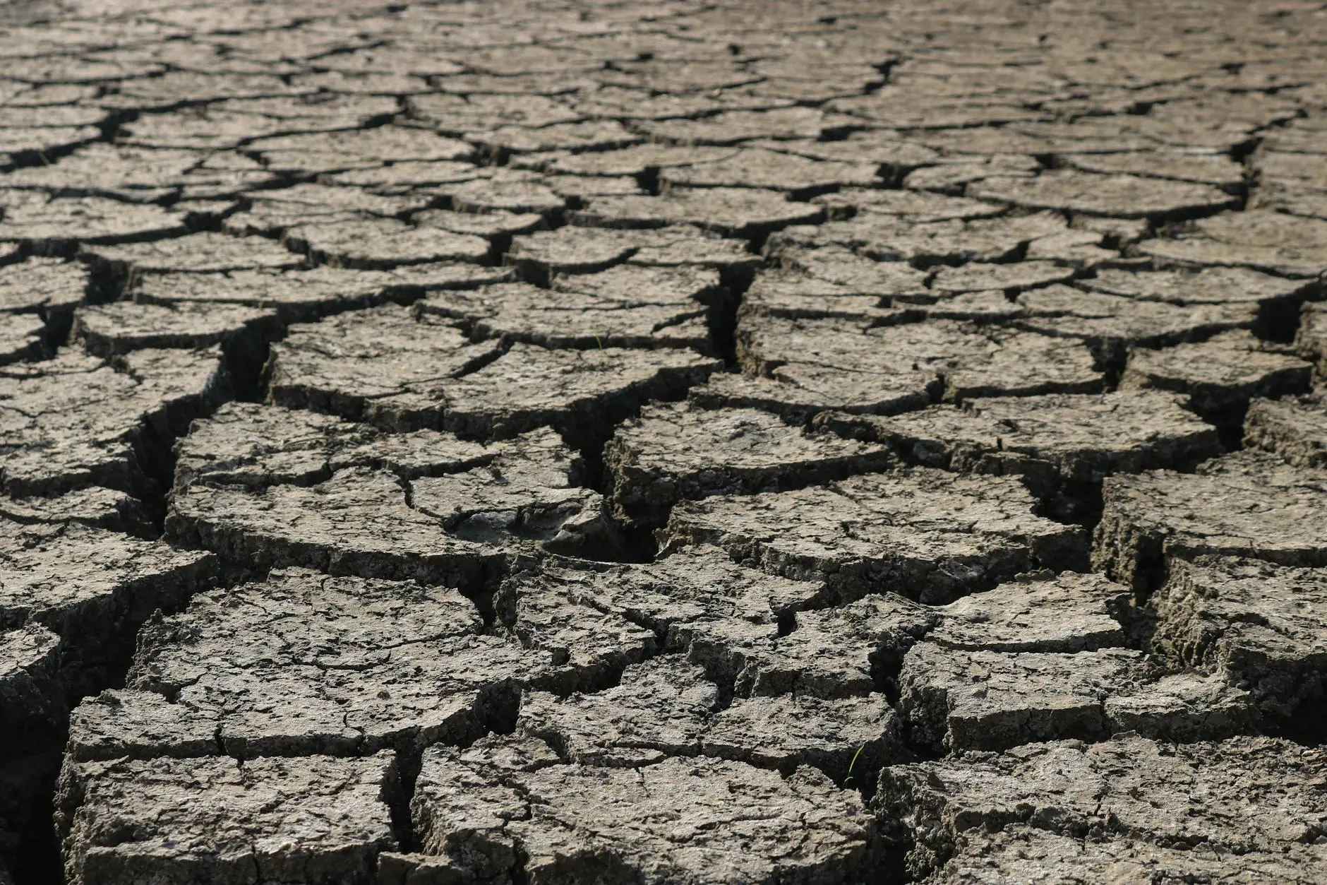 Climate Emergency Intensifies as Planet Crosses Critical Thresholds