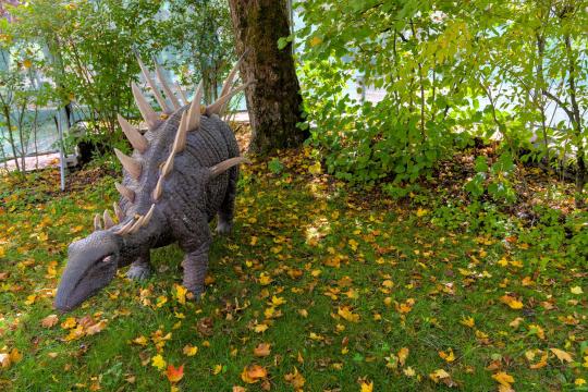 The Jurassic Bird That Skipped Flight Entirely