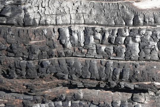 Lead Ink Could Unlock the Burned Herculaneum Scrolls
