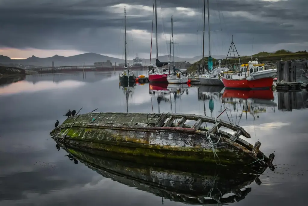 Falkland Islands Travel Guide: Wildlife and British Heritage