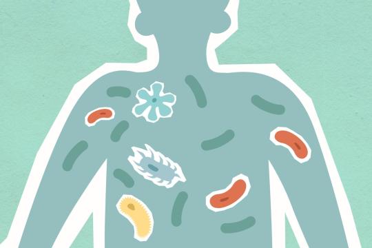 The Backward Retron: Bacteria's Strangest Antiviral