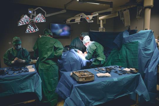 Bariatric Surgery Cuts Cancer Risk Across Ages and Sexes