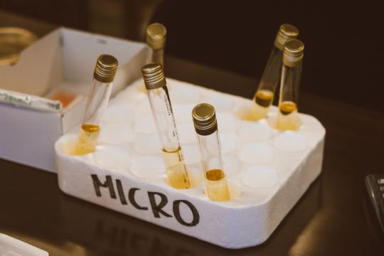Mars Homes Could Be Built From Yeast and Gelatin