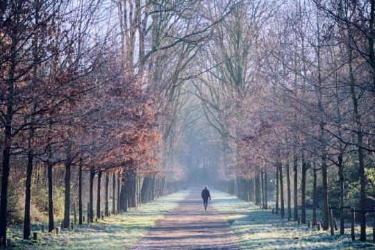 Long Walks Beat Short Bursts for Heart Health, Study Finds