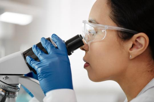 Postmenopausal Ovaries Stay Active for Decades