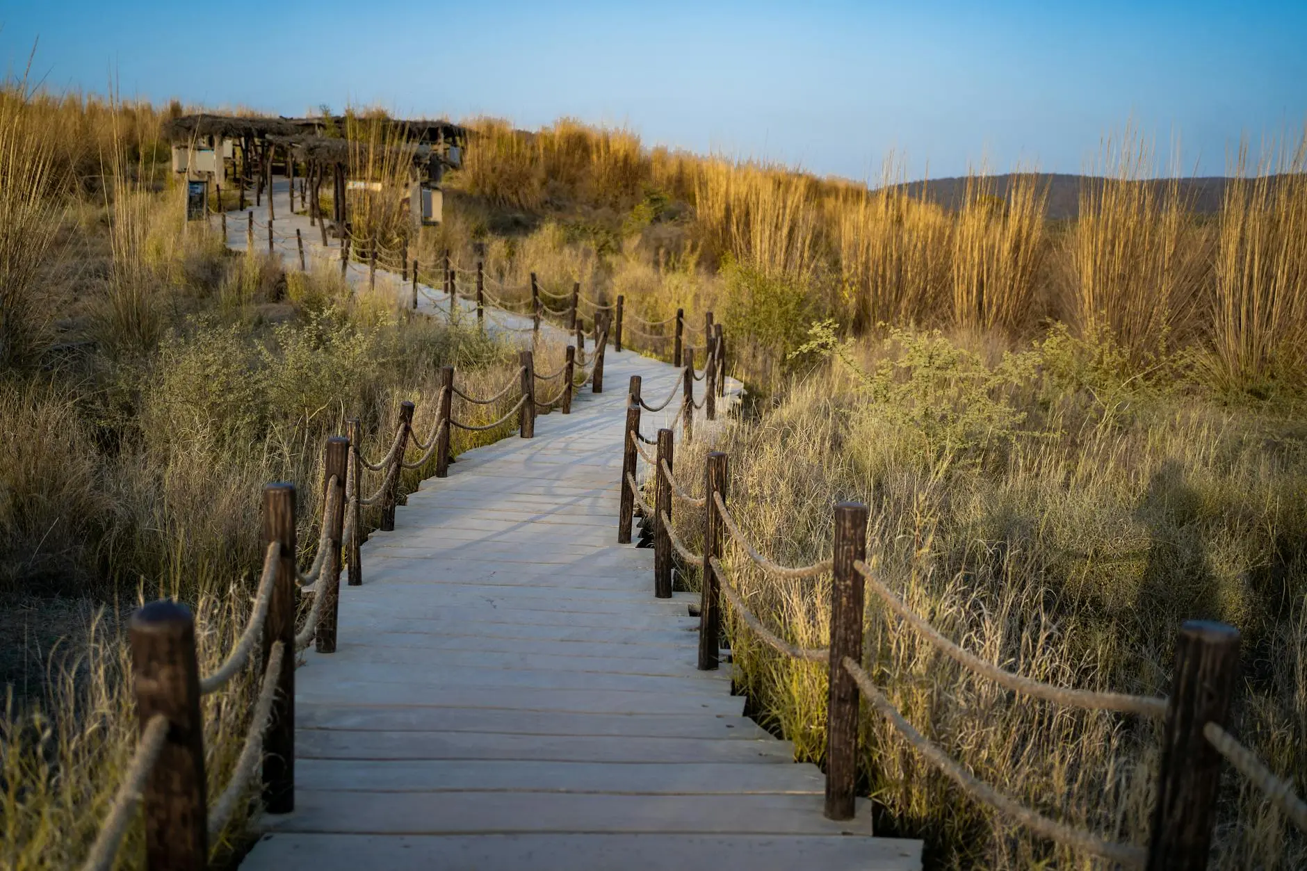 Sustainable Tourism Trends 2025 Reshape Travel Industry