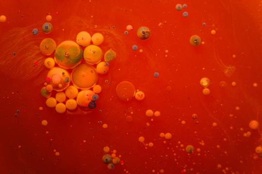 Sugar and Antibiotics Are a Brutal Combo for Your Gut