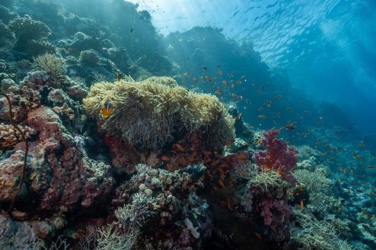 The UN Says 1.5C Warming Is Now Unavoidable. What Comes Next