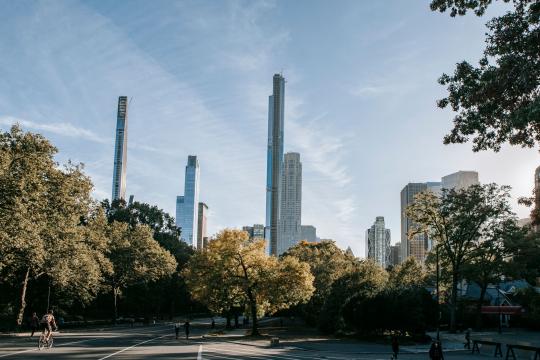 The NYC Tree Planting Boom: Eighteen Thousand and Counting