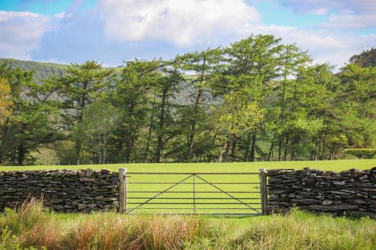 Roman Fort Welsh Legend: Unearthed Roman Ruins in Wales