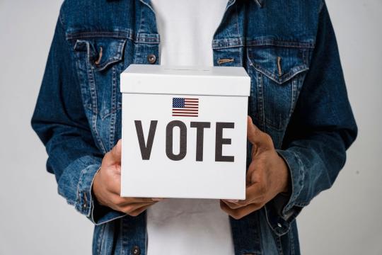 Switzerland Moves to End the Voting Ban on Disabled Citizens