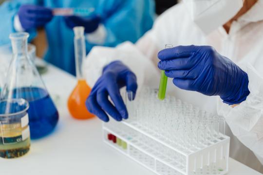New GUT-FEELINGS trial tests gut microbes for anxiety
