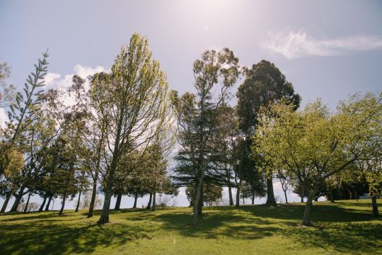 Where You Grow Up Shapes Youth Mental Health, Study Finds