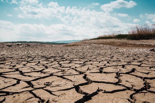 Summer 2026 Was the Hottest Summer on Record — Still Sizzling